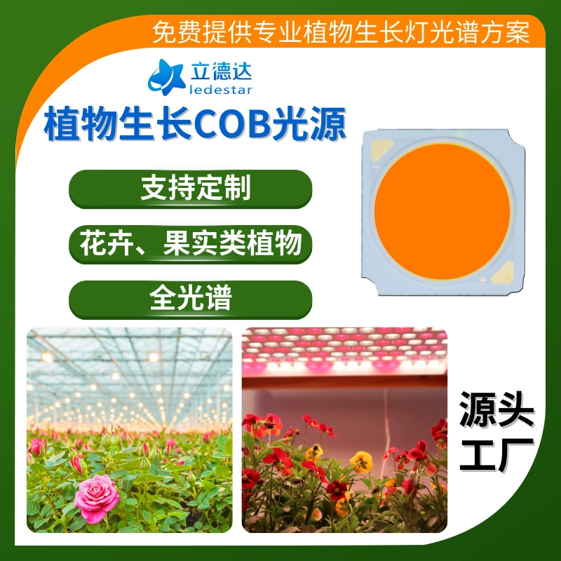 1919 Растение рост лампы COB источник света растения интегрированный светодиодный шарик подгонянный полный спектр высокой мощности cob световой панели