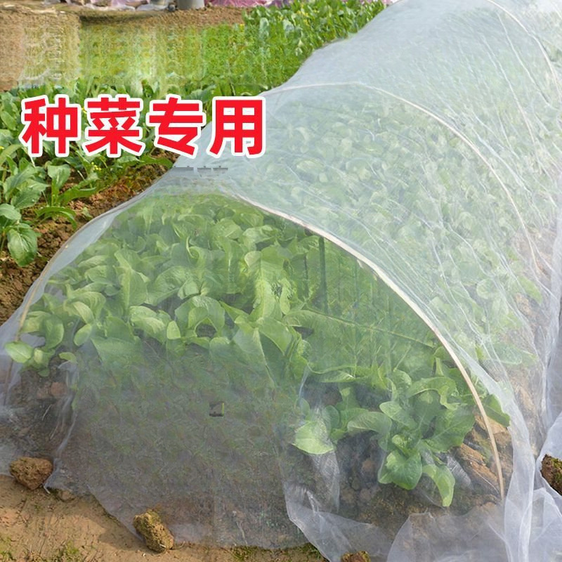 防虫网种菜专用目防虫罩加密纱网菜地果园网蔬菜防鸟罩菜园菜地