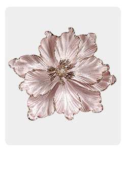 微信图片_20240409143918_02_08