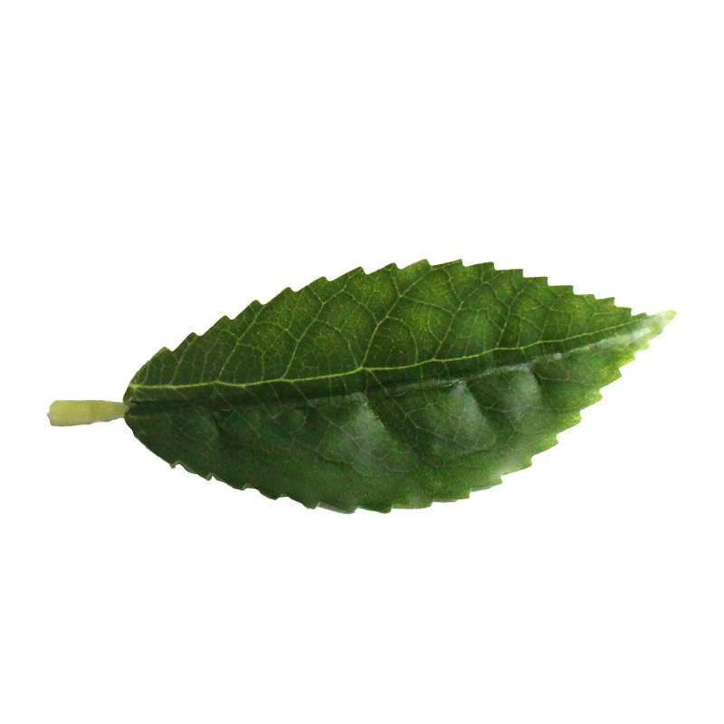 Monolithic Xin Yang Mao Jiang tea, green tea, white tea, red (black) tea, wholesale