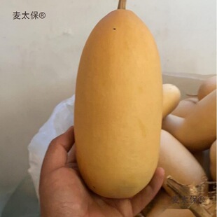 �F�д����̓rҰ�����ϴ����ֺ��J�m���Ӯ����L�����ֹ��YƷ��̫��