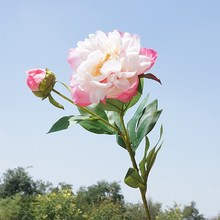 单枝2头凤凰牡丹 富贵花 仿真花假花 家居婚庆装饰摆放花卉花艺