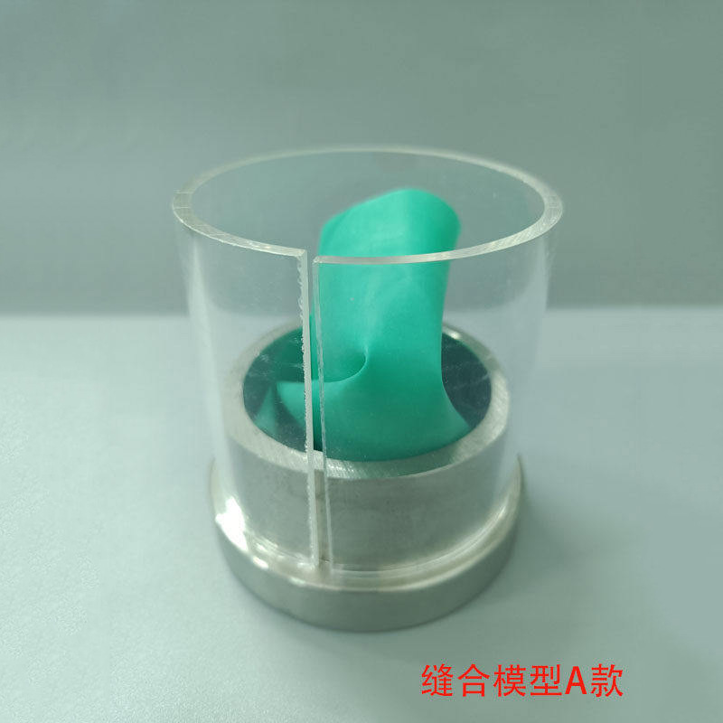 Modelo de entrenamiento de sutura de la mucosa oral dental para el examen de práctica oral image 3