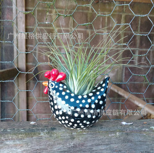 Free Range Black and White Chickens ��֬���u�ڰ׹��u����[��