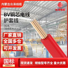 ���ɹű��� 늾���|ZC-BV2.5ƽ��������ȼ��о�ιɼ����~о100��