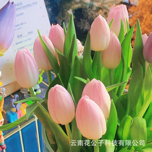 �������r�� ������������ֱ�l�҃�ƿ�廨�껨��������Y��黨