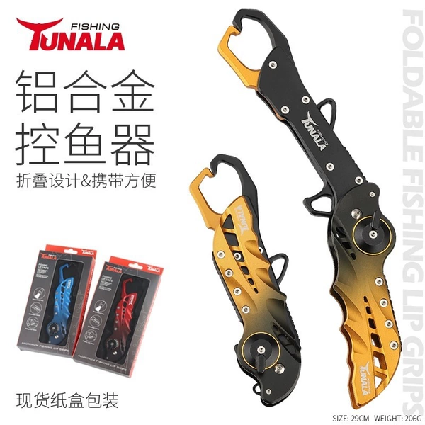Rich golden fish controller