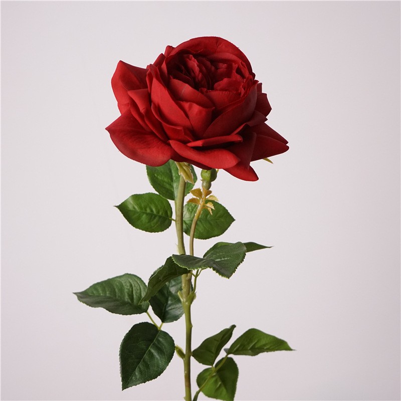 Moisturizing juliet-red black