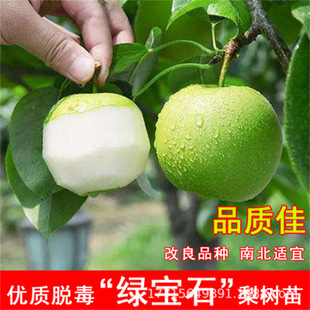 �G��ʯ�S�����������ˮ����������ˮ����޽����ش���Y����