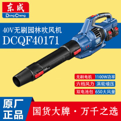 東成大風力ヘアドライヤー40vブラシレスリチウム電池1100W工業級施工集塵器dc qf40171