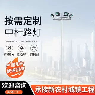 定制款中杆灯 爬梯式中杆灯 高杆灯路灯厂家