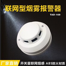 �����������̸�TAD-169 �̵�����Դ�������
