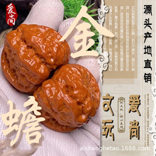 文玩核桃包浆款蛤蟆头专属链接文玩产地直发一手货源各种把玩核桃