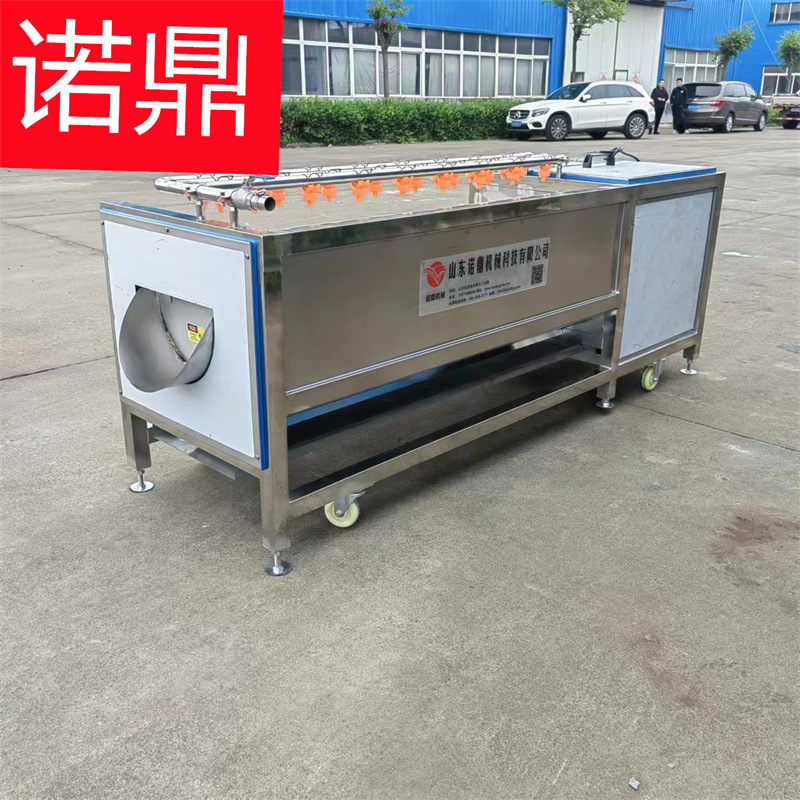 胡萝卜清洗机 毛辊请洗去皮设备厂家 软毛刷清洗机 诺鼎食品机械