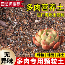 多肉营养土颗粒土壤种植栽培土养花通用型泥炭植物花土铺面石