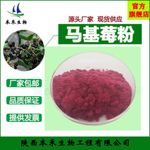 �R��ݮ�� 99% �R��ݮ�� �R����� �����ƹ�  ���� �R��ݮ������