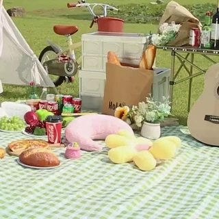 野餐垫防潮加厚防水草坪郊游野炊垫便携坐垫折叠手提地垫户外露营