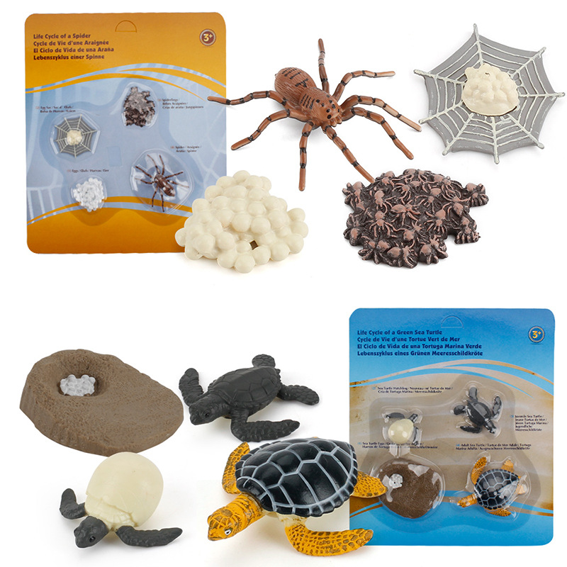 Simulation animal production process models ants frogs turtles spiders roosters multiple growth cycle vacuum-formed packaging