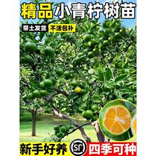 ����С���������ļ��ɷN��ˮ���ʘ�ͥԺ���Ե��Թ���������ֺ��B