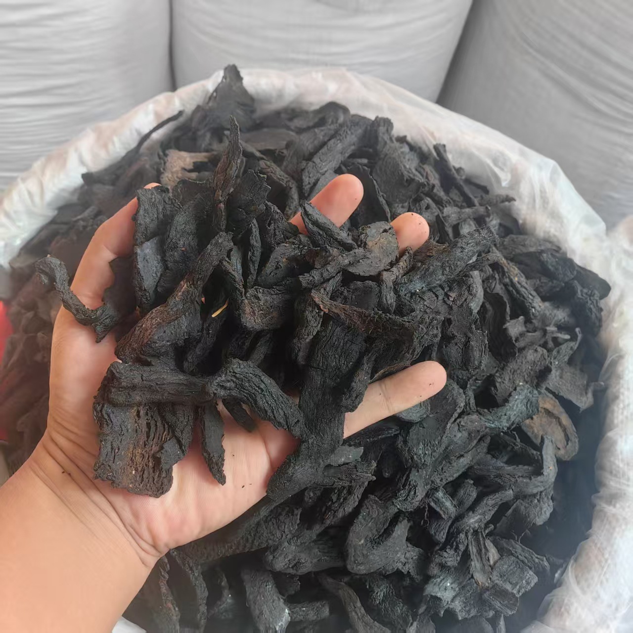 Cistanche Deserticola Rou Cong Rong Dried Herb 500g for Tonic Wine and Decoctions Xinjiang Origin specifications