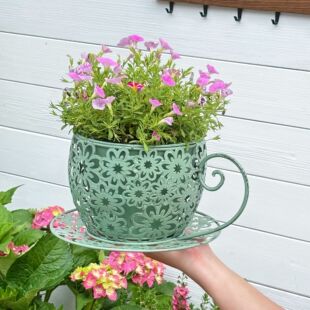 Temu�羳���⻨��ͥԺ���@�҃ȿ͏d�쾰����ˇ�g�̨�b��Fˇ����