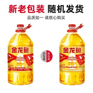 �����~1/1/1���D���� ���D�����{���� 5L�b  8�N�I�B ʳ���{����