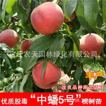 ޽ѩҘϱNֲSѪҶԵԮY