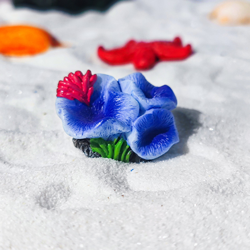 Mini acuario de coral popular, paisajismo, plantas acuáticas Little Red Book, estrellas de mar, peces y camarones, paisaje en miniatura, paquete pequeño, micropaisaje