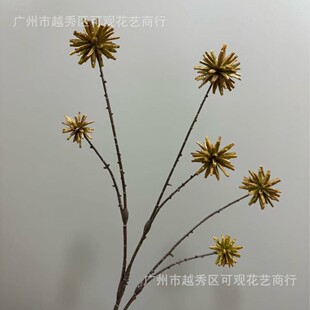 ���^����ϲ���������[���͏d���P���[���Ӱ��g�ҕ���Ҿ��b�
