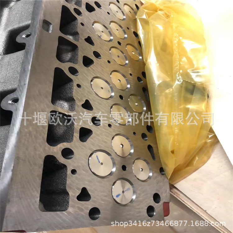 Suitable for Foton Cummins Isf2.8/Isf3.8/Isf4.5 Engine Belt Tensioner 5287020