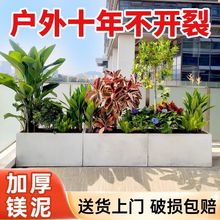 Lλˮ໨豱WLlRۿ͏d̨NV໨Gֲ