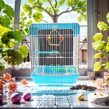 ��Ƥ�W�^�B�\ĵ���S�҄e���\�����B����С̖�Fˇ���كȱ��B�\977B