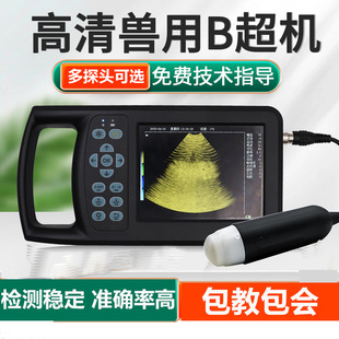 �i��b��ȫ���֫F��B���C�y�Ѓxb���C��ɫB������ţ�R����Йz�y�x