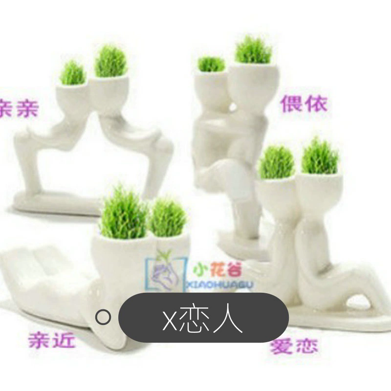 Мощные товары, посадка в помещении, настольное садоводство (X Lovers' Grass Doll), миниатюрное растение в горшках, газонный мир