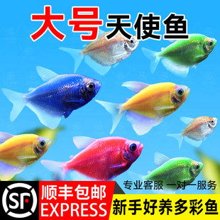 ��ʹ�~�^�p�~���~��̖Ⱥ�λ��w���R��ȸ�Ꭷ�~С���~��ˮ���B�ͻ�