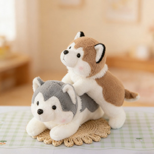 �¿�15���̖ë�q��ߵ��ƶYƷ���޻�Y��Ʒ����ץ�C���