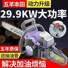 �M����������ʼ�����䏷�ľ䏼����䏿���䏌��I����Ʊ��