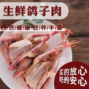 �����ӬF�����������rʳ���������a���������������r�����������l