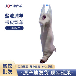 ���Ď�Ƥ�}�؞����������wȫ����ֻ��β�����r���ʳ�Ŀ�ȫ��