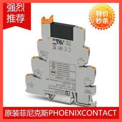 Новый Phoenix PLC-OPT-24DC/24DC/2/ACT-2900376