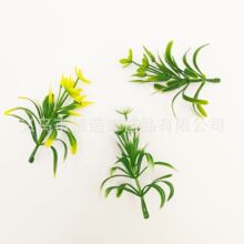 �羳���Ϸ��������軨���ֲ�����Բ�������ˮ���쾰ˮ���������