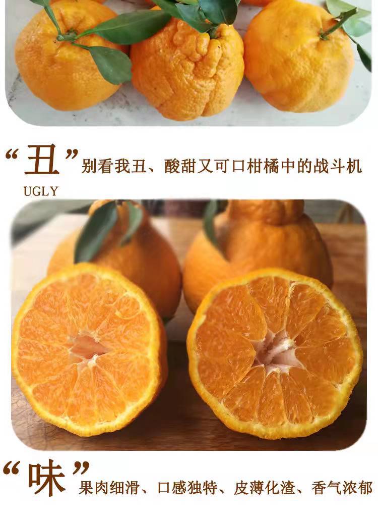 微信图片_20220107125721