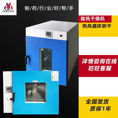 厂家直供DHG试验室电热恒温鼓风干燥箱 热风循环系统 老化用 烘箱|ms