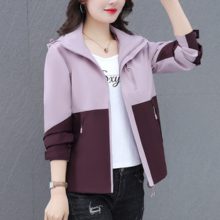 �_�h������Ů���＾2025�¿�r�аٴ�����e���|С�������¿羳