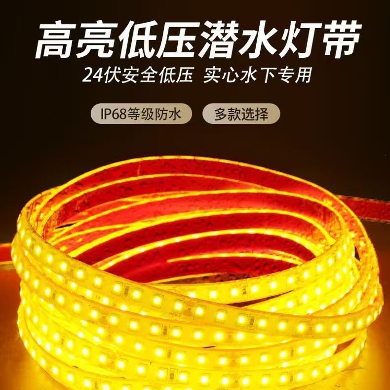 12V / 24V LED de bajo voltaje sólido silicona lámpara IP68 impermeable piscina submarina al aire libre 220V sin conducción image 3