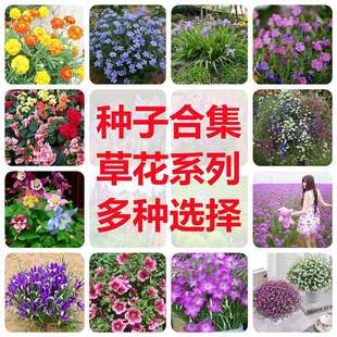 �ݻ��N�ӝM���ǿ�ȸ����������Ů���̨�҃������^����ֲ��N����