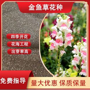 �ļ��ݻ����~�N�@�ֻ������^ֲ��ر������Gֲ���~�ݷN�Ӽtɫϵ