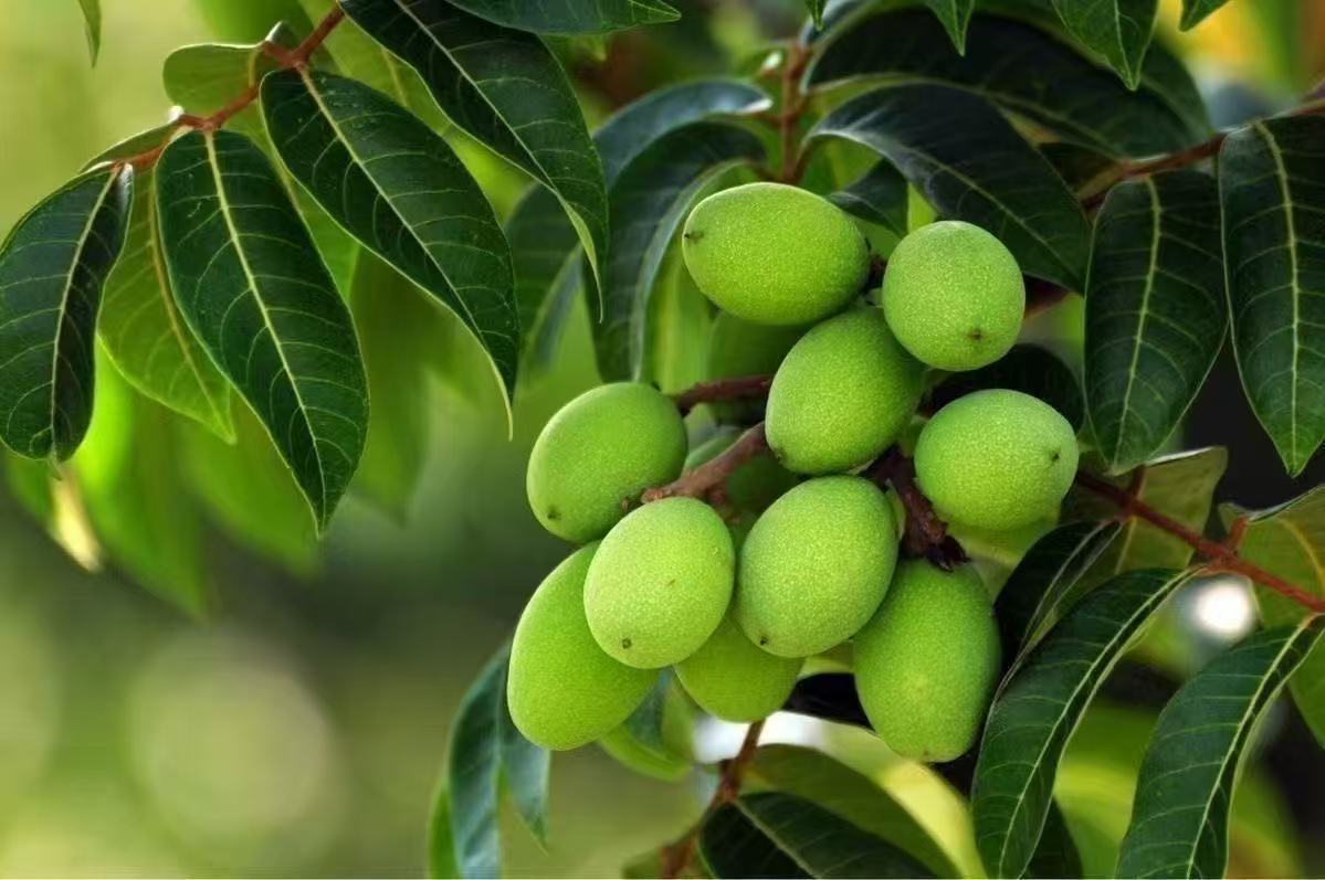 微信图片_20250514184953