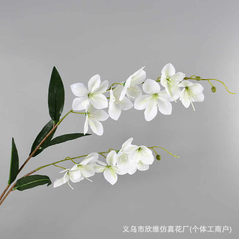 垂丝茉莉白色