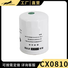 CX0810���͞Vо�m�丣����\�W�TX�W�R����ʮ�493�l�әC��V��